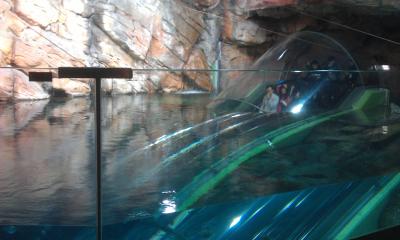 Shanghai Ocean Aquarium
